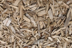 biomass boilers Woodacott